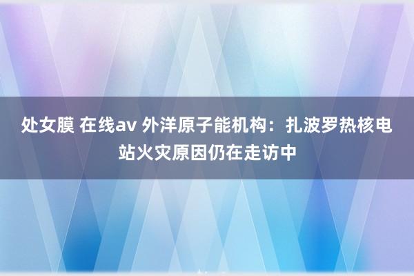 处女膜 在线av 外洋原子能机构：扎波罗热核电站火灾原因仍在走访中
