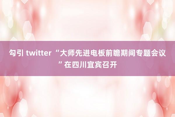 勾引 twitter “大师先进电板前瞻期间专题会议”在四川宜宾召开