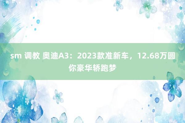 sm 调教 奥迪A3：2023款准新车，12.68万圆你豪华