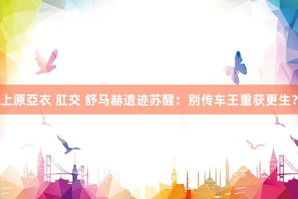 上原亞衣 肛交 舒马赫遗迹苏醒：别传车王重获更生？