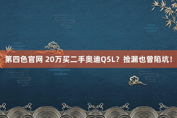 第四色官网 20万买二手奥迪Q5L？捡漏也曾陷坑！