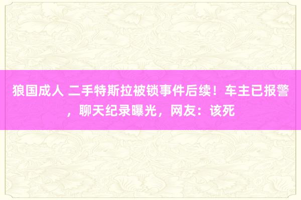 狼国成人 二手特斯拉被锁事件后续！车主已报警，聊天纪录曝光，网友：该死