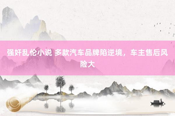强奸乱伦小说 多款汽车品牌陷逆境，车主售后风险大