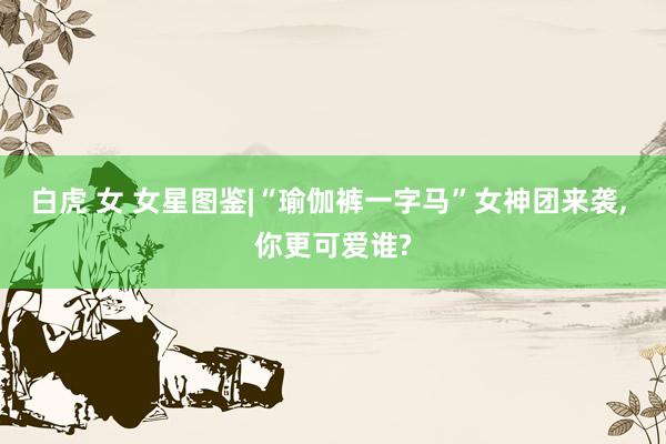 白虎 女 女星图鉴|“瑜伽裤一字马”女神团来袭, 你更可爱谁?