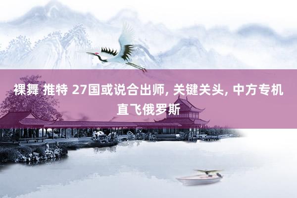 裸舞 推特 27国或说合出师, 关键关头, 中方专机直飞俄罗