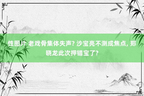 性图片 老戏骨集体失声? 沙宝亮不测成焦点, 郑晓龙此次押错宝了?