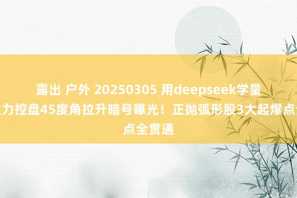 露出 户外 20250305 用deepseek学量化：主力