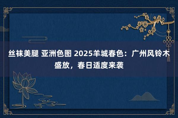 丝袜美腿 亚洲色图 2025羊城春色：广州风铃木盛放，春日适度来袭